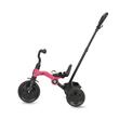 Tricicleta Qplay Ant Plus Rose