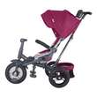 Tricicleta multifunctionala Coccolle Corso Violet