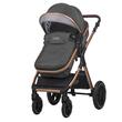 Pachet bun venit bebe Coccolle Melora Diamond black + Siesta roz + Unicorn + Twistshake (180ml,260ml,330ml) 