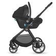 Scoica auto Coccolle Knox iSize Black