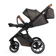 Carucior modular 2in1 Coccolle Nessia Anthracite+Balansoar bebelusi Coccolle Velio Butternut
