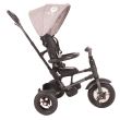Tricicleta cu roti gonflabile de cauciuc Qplay Rito AIR Gri