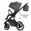 Carucior modular 2in1 Coccolle Nessia Anthracite+Balansoar bebelusi Coccolle Velio Butternut