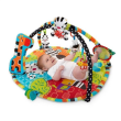 Bright Starts - 9167 Start Your Senses Salteluta Interactiva Spots & Stripes