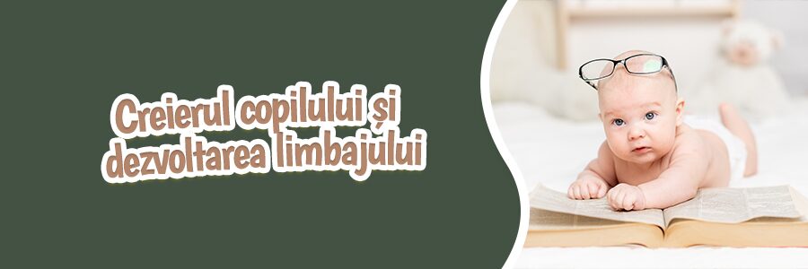 Creierul copilului și dezvoltarea limbajului