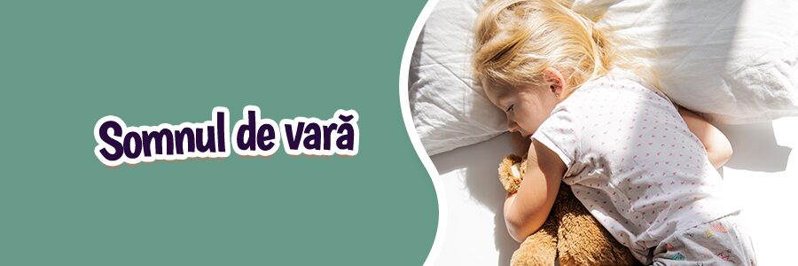 Somnul de vară: între mituri, haos și supraviețuire